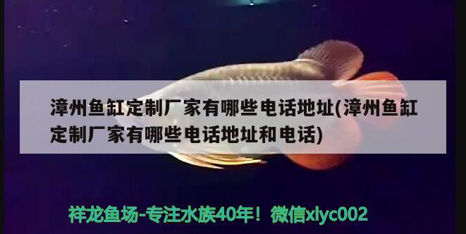 漳州魚缸定制廠家有哪些電話地址(漳州魚缸定制廠家有哪些電話地址和電話) 觀賞龜/鱉飼料