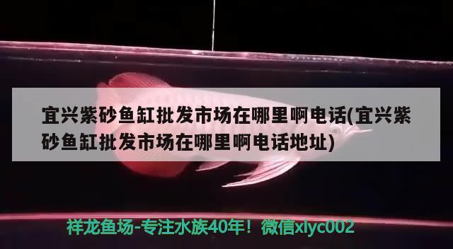 宜興紫砂魚缸批發(fā)市場在哪里啊電話(宜興紫砂魚缸批發(fā)市場在哪里啊電話地址) 九鼎魚缸