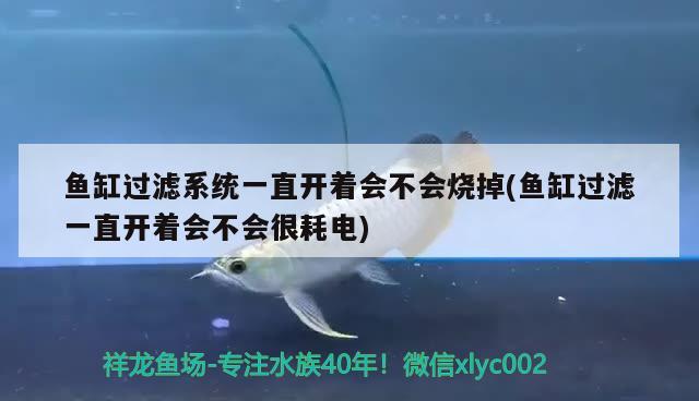 魚缸過濾系統(tǒng)一直開著會(huì)不會(huì)燒掉(魚缸過濾一直開著會(huì)不會(huì)很耗電) 肥料