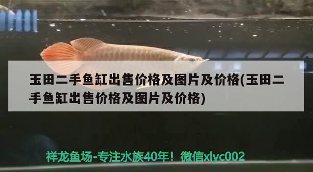 玉田二手魚缸出售價(jià)格及圖片及價(jià)格(玉田二手魚缸出售價(jià)格及圖片及價(jià)格)