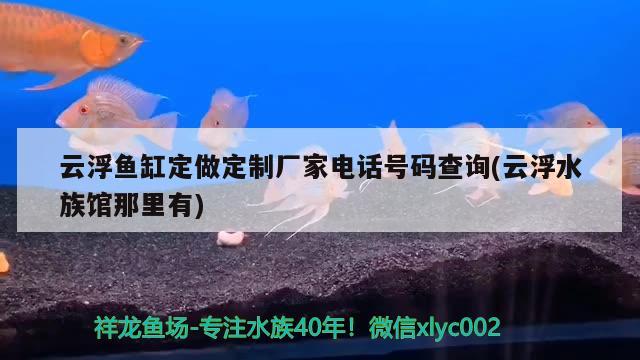 云浮魚缸定做定制廠家電話號碼查詢(云浮水族館那里有) 賽級紅龍魚