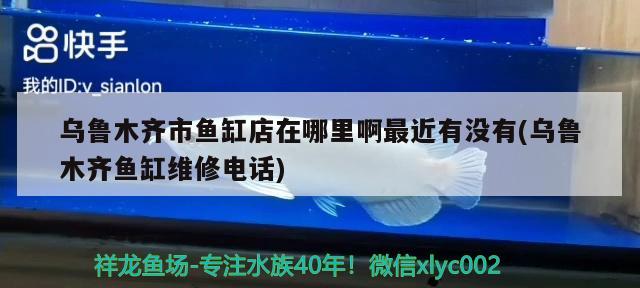 烏魯木齊市魚缸店在哪里啊最近有沒有(烏魯木齊魚缸維修電話)