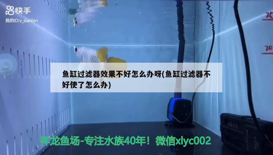 魚缸過濾器效果不好怎么辦呀(魚缸過濾器不好使了怎么辦)