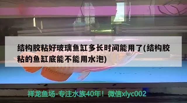 結(jié)構(gòu)膠粘好玻璃魚缸多長時間能用了(結(jié)構(gòu)膠粘的魚缸底能不能用水泡)