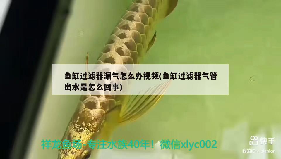 魚缸過濾器漏氣怎么辦視頻(魚缸過濾器氣管出水是怎么回事)