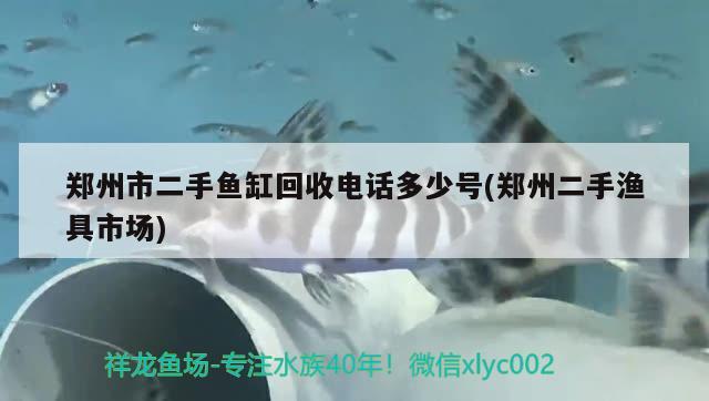 鄭州市二手魚缸回收電話多少號(hào)(鄭州二手漁具市場)