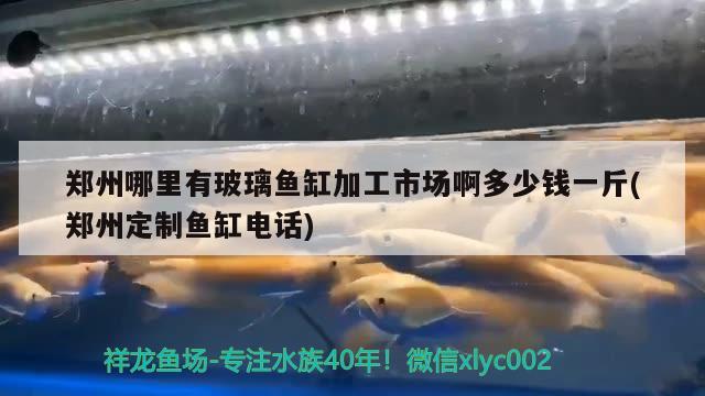 鄭州哪里有玻璃魚缸加工市場(chǎng)啊多少錢一斤(鄭州定制魚缸電話)