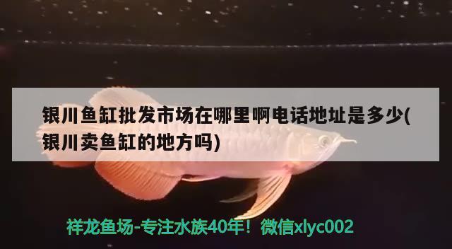 銀川魚缸批發(fā)市場在哪里啊電話地址是多少(銀川賣魚缸的地方嗎)