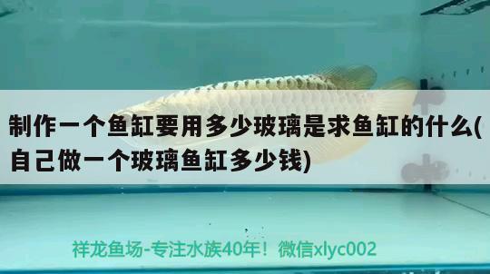 制作一個(gè)魚缸要用多少玻璃是求魚缸的什么(自己做一個(gè)玻璃魚缸多少錢) 養(yǎng)魚知識