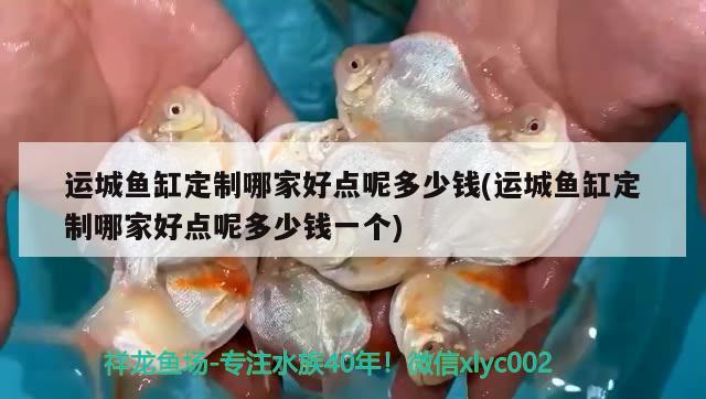 運(yùn)城魚缸定制哪家好點(diǎn)呢多少錢(運(yùn)城魚缸定制哪家好點(diǎn)呢多少錢一個(gè)) 殺菌消毒設(shè)備