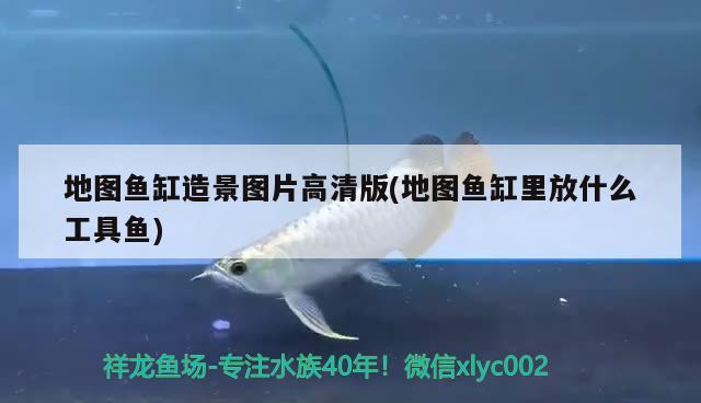 地圖魚缸造景圖片高清版(地圖魚缸里放什么工具魚)