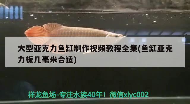 大型亞克力魚(yú)缸制作視頻教程全集(魚(yú)缸亞克力板幾毫米合適)