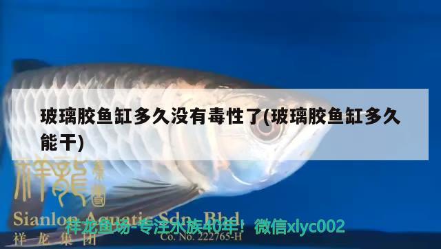 玻璃膠魚缸多久沒有毒性了(玻璃膠魚缸多久能干) 金龍魚糧