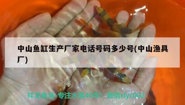 中山魚缸生產(chǎn)廠家電話號碼多少號(中山漁具廠) 其它水族用具設(shè)備