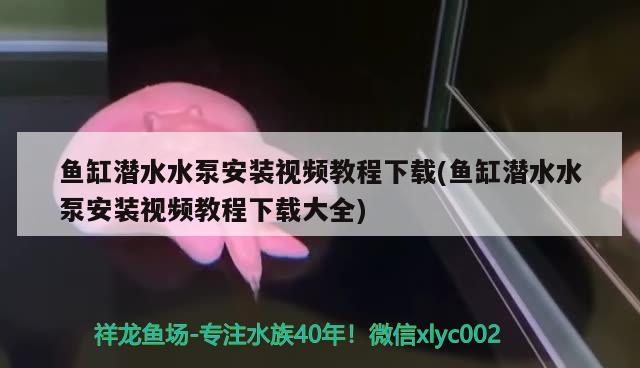 魚缸潛水水泵安裝視頻教程下載(魚缸潛水水泵安裝視頻教程下載大全) iwish愛唯希品牌魚缸