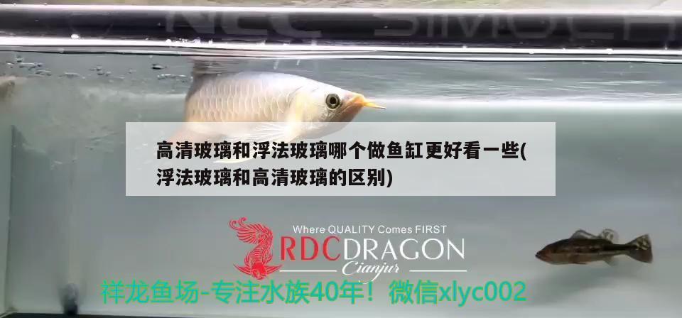 高清玻璃和浮法玻璃哪個做魚缸更好看一些(浮法玻璃和高清玻璃的區(qū)別)