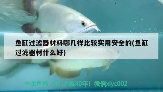 魚缸過濾器材料哪幾樣比較實用安全的(魚缸過濾器材什么好)