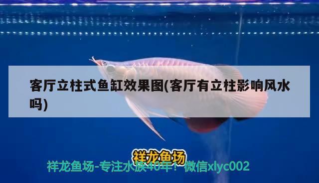 客廳立柱式魚缸效果圖(客廳有立柱影響風(fēng)水嗎)