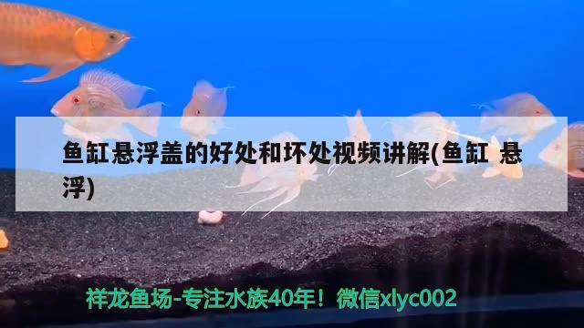 魚(yú)缸懸浮蓋的好處和壞處視頻講解(魚(yú)缸懸浮)