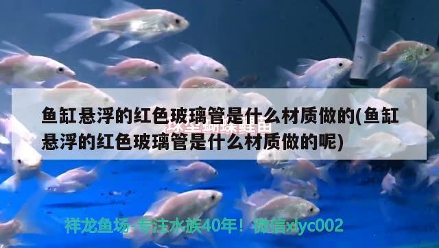 魚缸懸浮的紅色玻璃管是什么材質(zhì)做的(魚缸懸浮的紅色玻璃管是什么材質(zhì)做的呢)