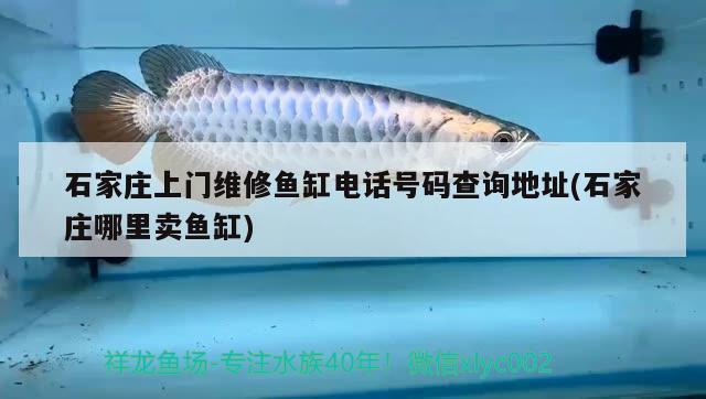 石家莊上門維修魚缸電話號碼查詢地址(石家莊哪里賣魚缸)