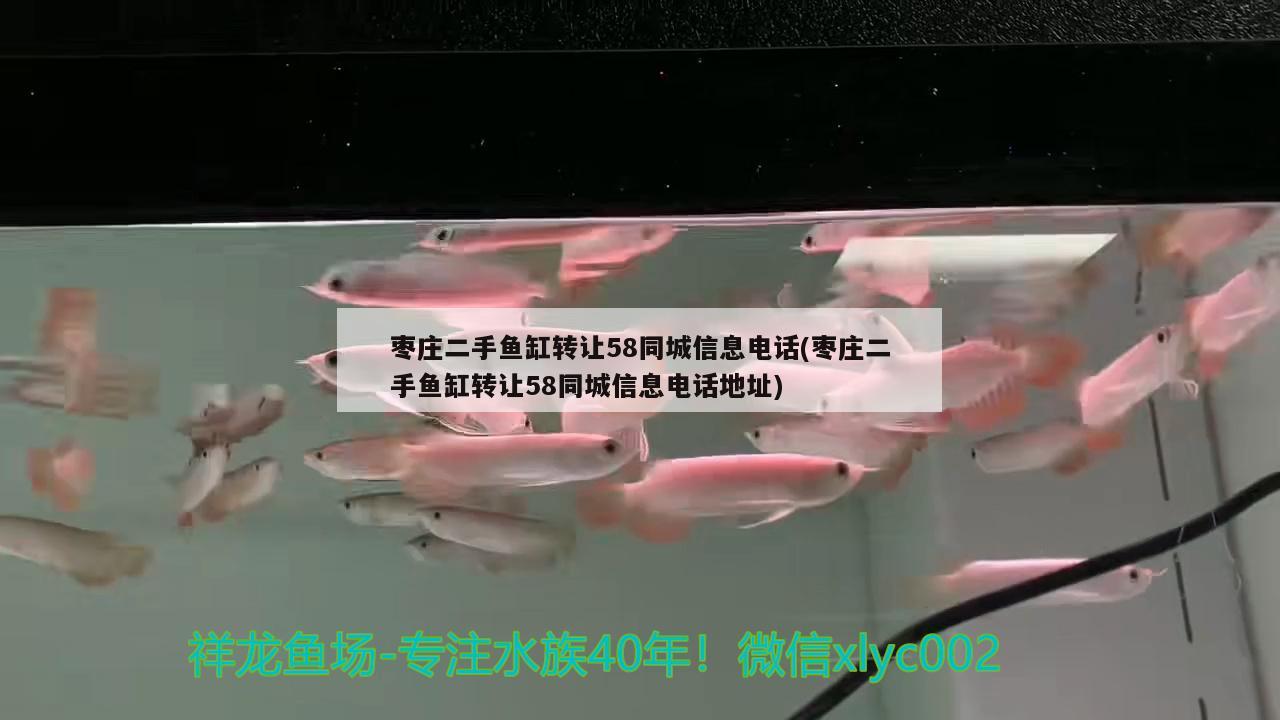 棗莊二手魚缸轉讓58同城信息電話(棗莊二手魚缸轉讓58同城信息電話地址) 福滿鉆魚 第1張