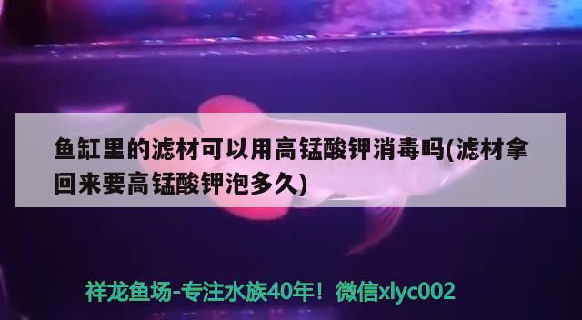 魚缸里的濾材可以用高錳酸鉀消毒嗎(濾材拿回來要高錳酸鉀泡多久)