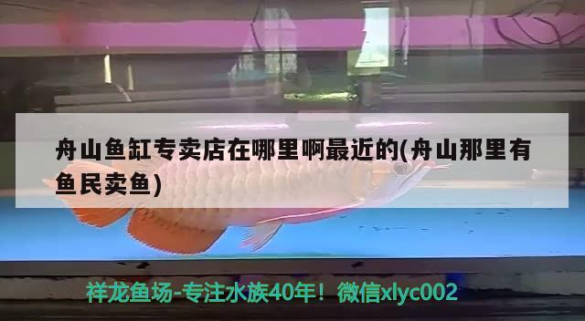 舟山魚缸專賣店在哪里啊最近的(舟山那里有魚民賣魚) 和尚魚