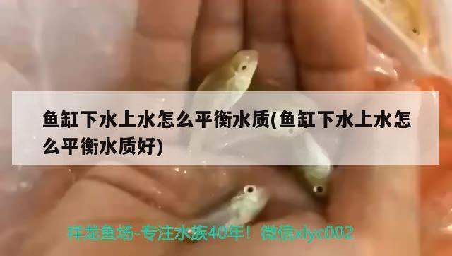 魚缸下水上水怎么平衡水質(魚缸下水上水怎么平衡水質好) 細線銀版魚