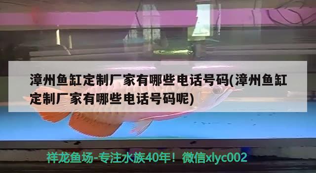 漳州魚缸定制廠家有哪些電話號碼(漳州魚缸定制廠家有哪些電話號碼呢) 大白鯊魚