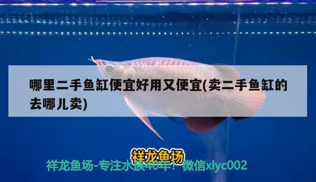 哪里二手魚缸便宜好用又便宜(賣二手魚缸的去哪兒賣)