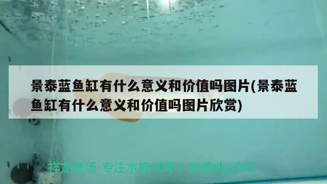 景泰藍魚缸有什么意義和價值嗎圖片(景泰藍魚缸有什么意義和價值嗎圖片欣賞)