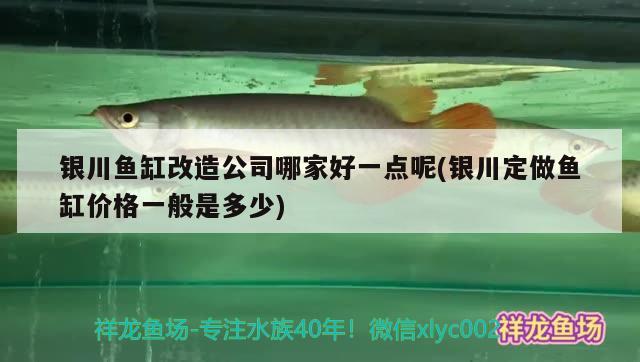 銀川魚缸改造公司哪家好一點呢(銀川定做魚缸價格一般是多少) 銀河星鉆魚