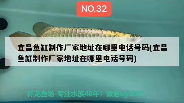 宜昌魚缸制作廠家地址在哪里電話號碼(宜昌魚缸制作廠家地址在哪里電話號碼) 白玉紅龍魚