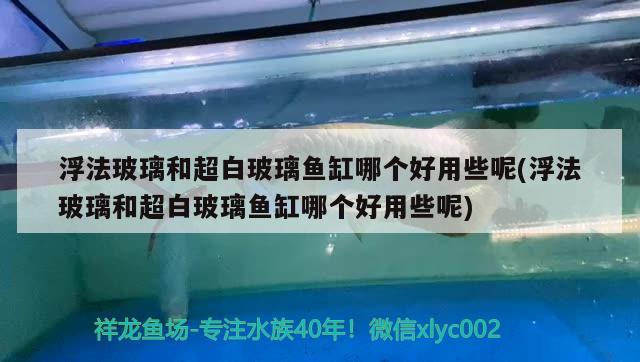 浮法玻璃和超白玻璃魚(yú)缸哪個(gè)好用些呢(浮法玻璃和超白玻璃魚(yú)缸哪個(gè)好用些呢)