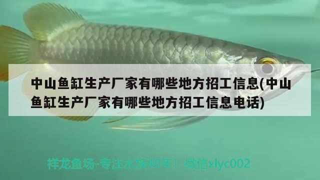 中山魚缸生產(chǎn)廠家有哪些地方招工信息(中山魚缸生產(chǎn)廠家有哪些地方招工信息電話)