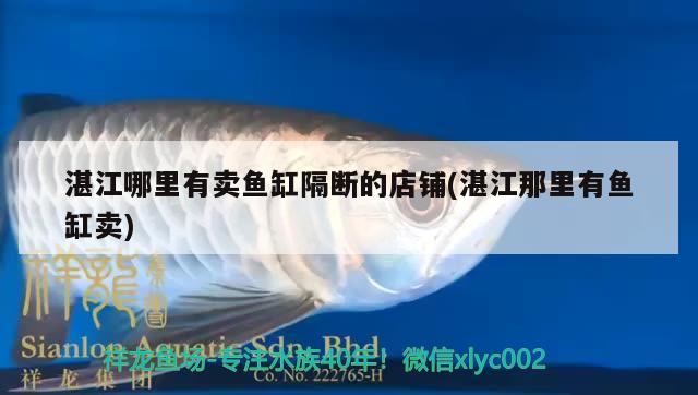 湛江哪里有賣魚(yú)缸隔斷的店鋪(湛江那里有魚(yú)缸賣) 銀龍魚(yú)苗