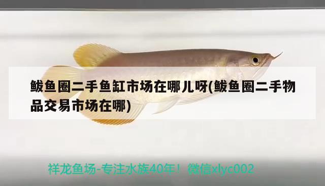 鲅魚圈二手魚缸市場在哪兒呀(鲅魚圈二手物品交易市場在哪)