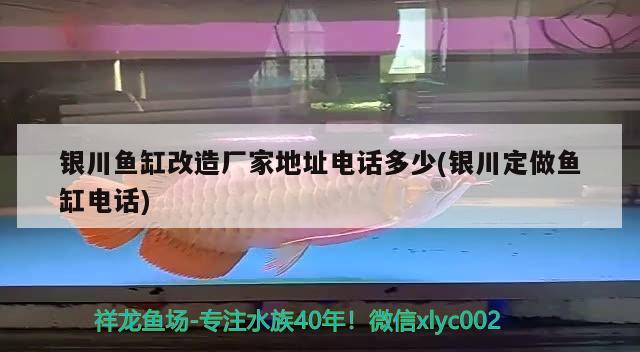 銀川魚(yú)缸改造廠家地址電話多少(銀川定做魚(yú)缸電話)