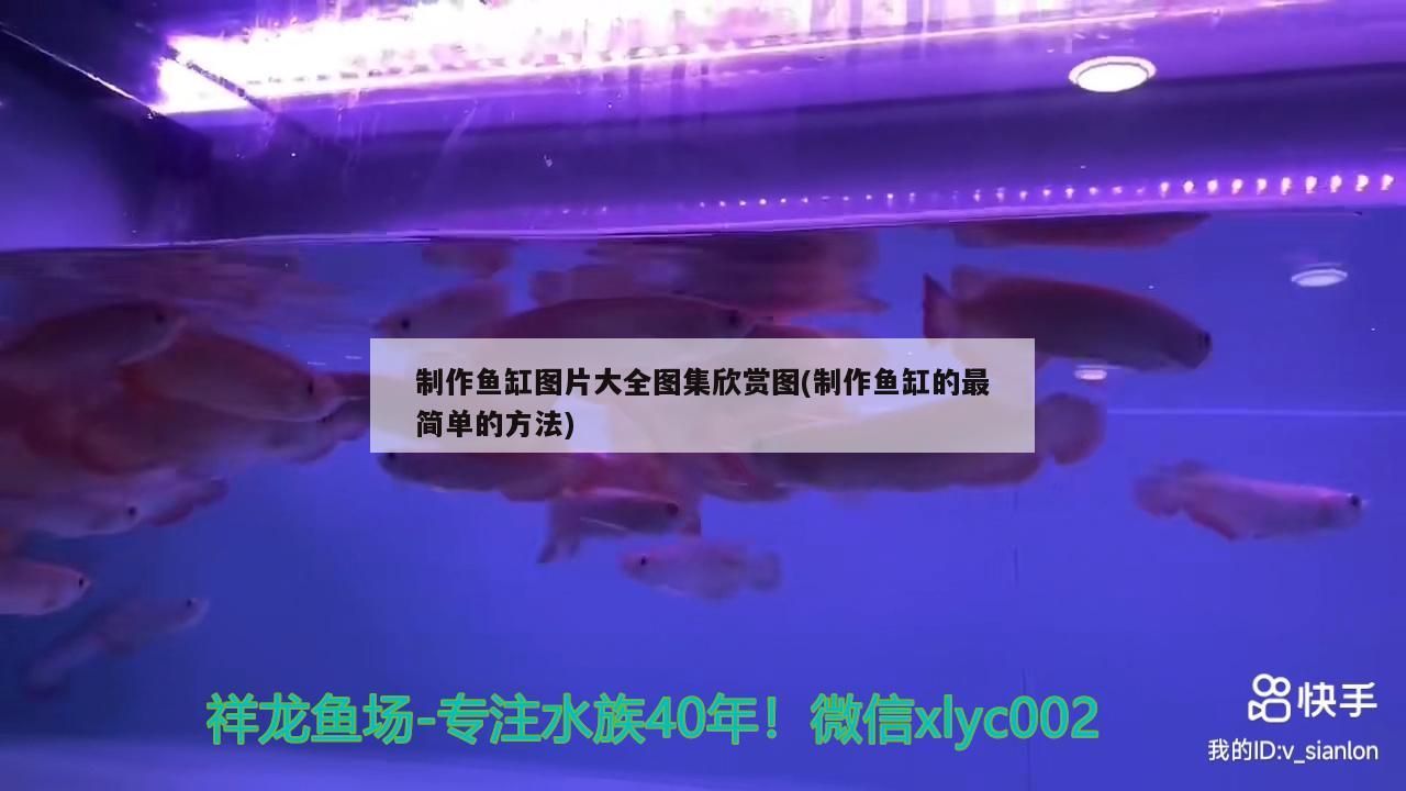 制作魚缸圖片大全圖集欣賞圖(制作魚缸的最簡單的方法)