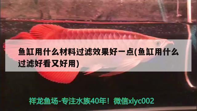 魚缸用什么材料過(guò)濾效果好一點(diǎn)(魚缸用什么過(guò)濾好看又好用) 廣州水族批發(fā)市場(chǎng)