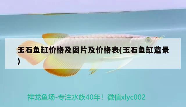 玉石魚缸價(jià)格及圖片及價(jià)格表(玉石魚缸造景) 赤荔鳳冠魚