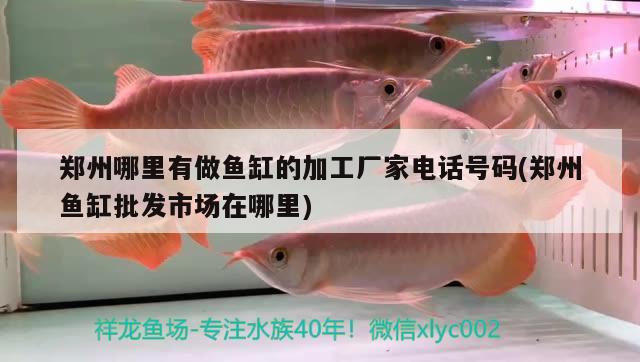 鄭州哪里有做魚缸的加工廠家電話號碼(鄭州魚缸批發(fā)市場在哪里)