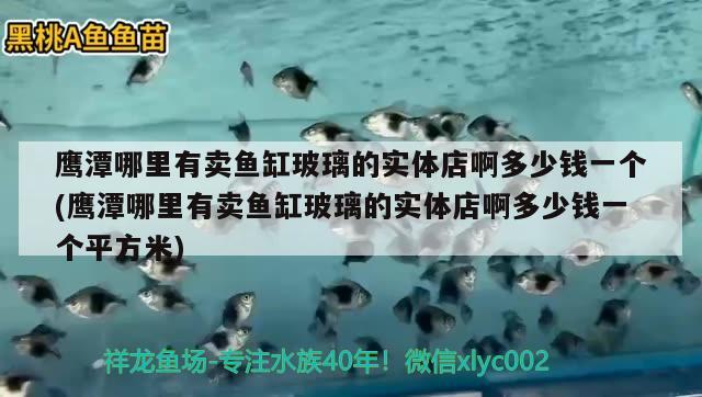 鷹潭哪里有賣魚缸玻璃的實體店啊多少錢一個(鷹潭哪里有賣魚缸玻璃的實體店啊多少錢一個平方米) 黃鰭鯧魚