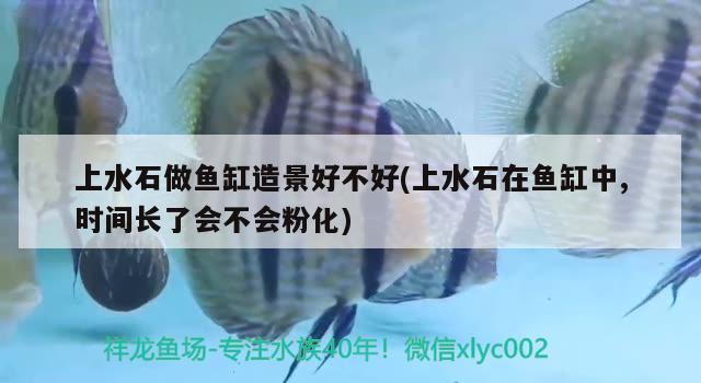 上水石做魚缸造景好不好(上水石在魚缸中,時(shí)間長了會(huì)不會(huì)粉化)