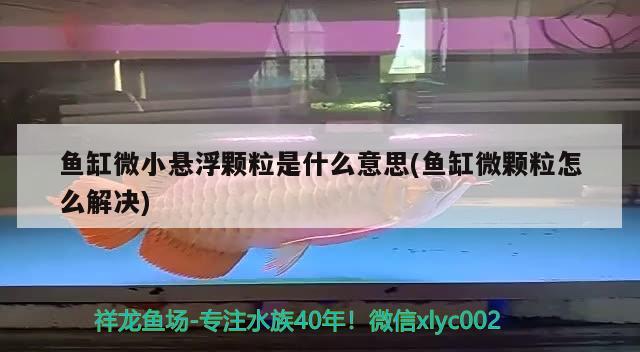 魚缸微小懸浮顆粒是什么意思(魚缸微顆粒怎么解決)