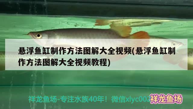 懸浮魚(yú)缸制作方法圖解大全視頻(懸浮魚(yú)缸制作方法圖解大全視頻教程) 皇冠黑白魟魚(yú)