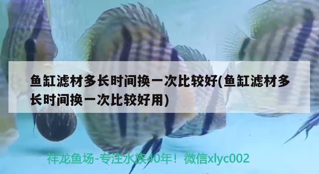 魚缸濾材多長時間換一次比較好(魚缸濾材多長時間換一次比較好用)