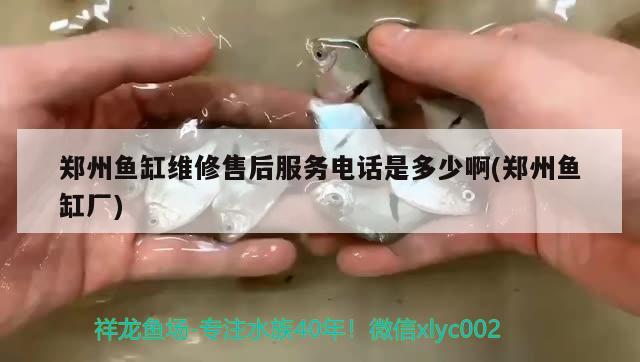 鄭州魚缸維修售后服務電話是多少啊(鄭州魚缸廠)