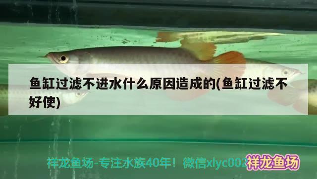 魚(yú)缸過(guò)濾不進(jìn)水什么原因造成的(魚(yú)缸過(guò)濾不好使)